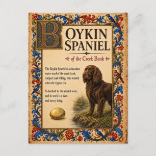 Cartão Postal Boykin Spaniel, Arte Medieval de Bestiário