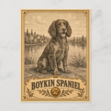 Boykin Spaniel, Coleção Patrimônio Vintage de Cães