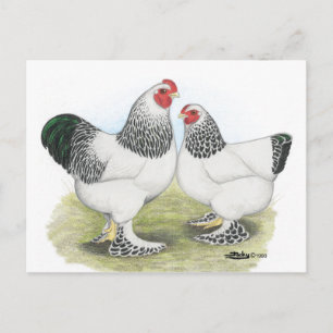 Cartão Postal Brahma: Luz2