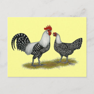 Cartão Postal Brakel Chickens