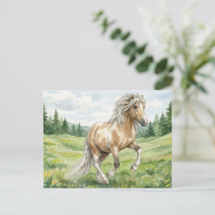 Cartão Postal Brana Pinto Palomino Aquarela Islandesa