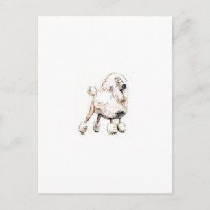 Cartão Postal Branco de Poodle Padrão