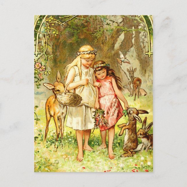 Cartão Postal Branco-neve e Rosa-vermelho (Frente)