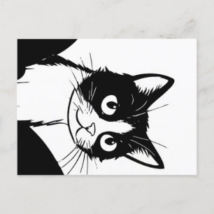 cartão postal branco preto de gato giro