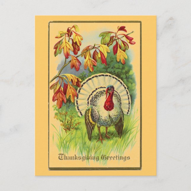 Cartão Postal Branco Turquia do vintage (Frente)