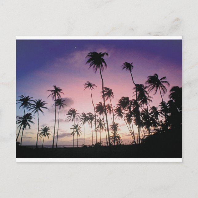 Cartão Postal Brasil (Frente)