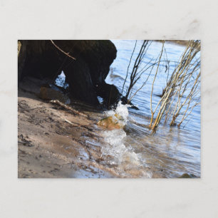 Cartão Postal Breakers, Beachlife