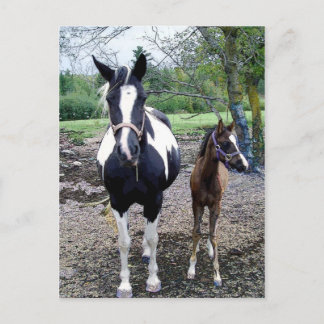 Cartão Postal Breezie n Zura