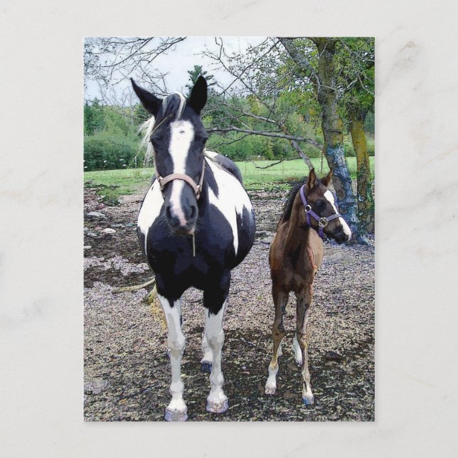 Cartão Postal Breezie n Zura (Frente)