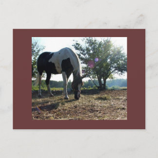 cartão postal breezysunbeams