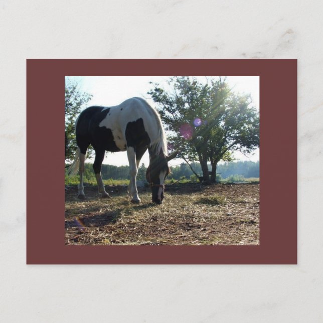 cartão postal breezysunbeams (Frente)