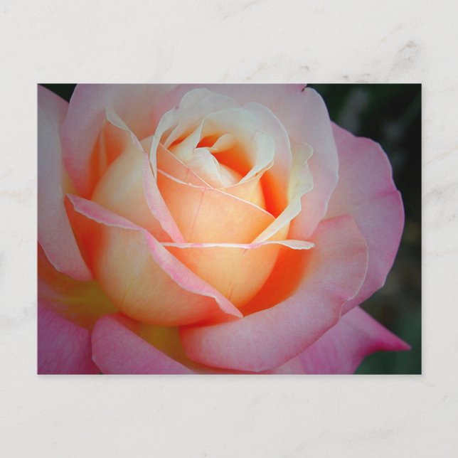 Cartão Postal Brianna (Frente)