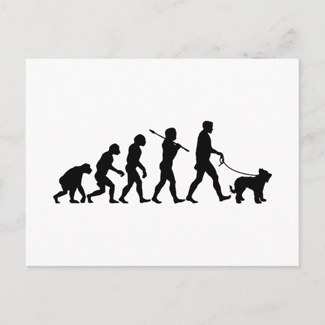 Cartão Postal Briard (Frente)