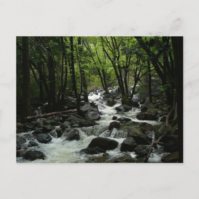 Cartão Postal Bridalveil Creek no Parque Nacional de Yosemite (Frente)