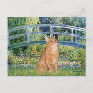 Cartão Postal Bridge - Orange Tabby SH cat 46