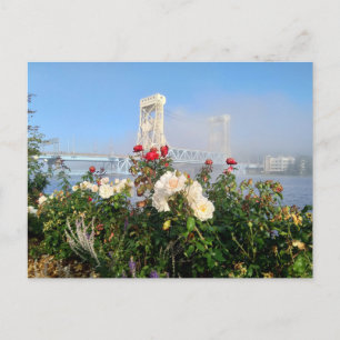 Cartão Postal bridge postcard