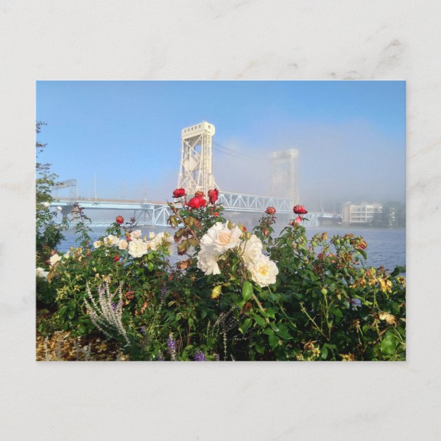 Cartão Postal bridge postcard (Frente)