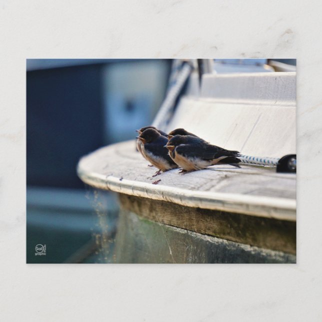 Cartão Postal Briefkaart (Frente)