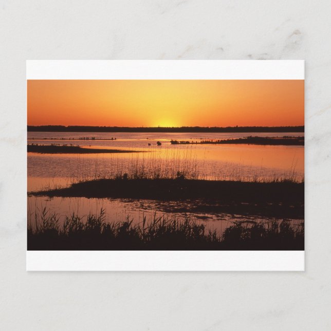 Cartão Postal Brigantine NWR em Sunset.jpg (Frente)