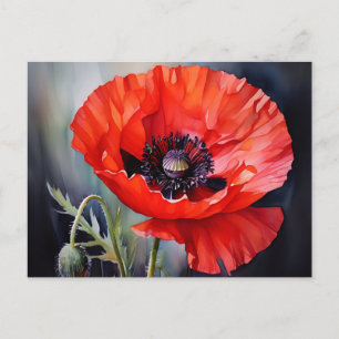 Cartão Postal Bright Red Poppy com Centro Escuro