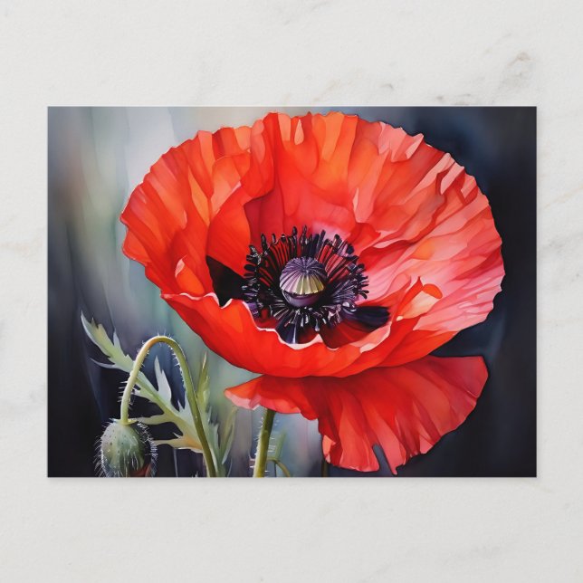 Cartão Postal Bright Red Poppy com Centro Escuro (Frente)