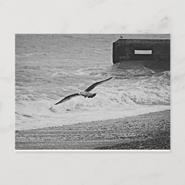 Cartão Postal Brighton (Frente)