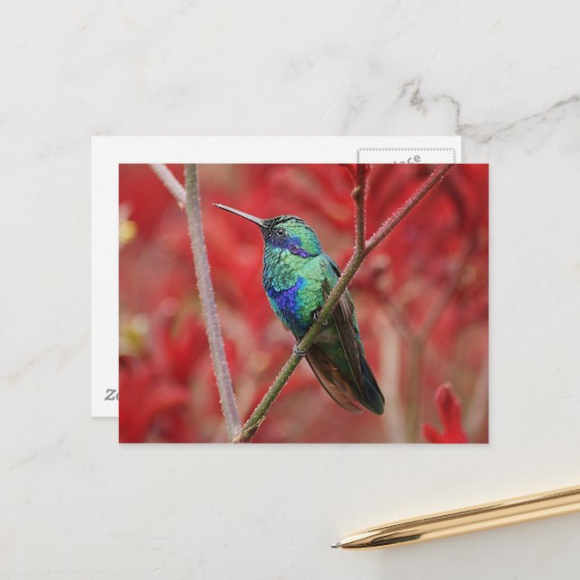 Cartão Postal Brilho Iridescente (Frente/Verso In Situ)