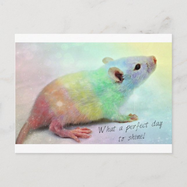 Cartão Postal Brilho sobre! (Frente)