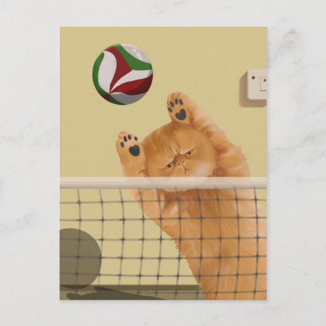Cartão Postal Brincadeira Brincadeira Gato de Voleibol (Frente)