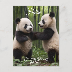 Cartão Postal Brincadeiras: Bebês Pandas Brincam na Floresta