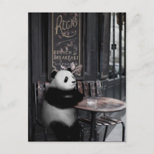 Cartão Postal Brincando em um café