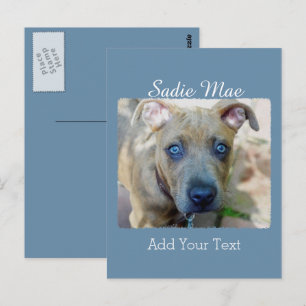 Cartão Postal Brindle Pit Bull Puppy by Shirley Taylor