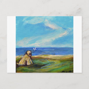 Cartão Postal Brisa Oceânica Trigueira