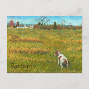 Cartão Postal Brittany no Campo
