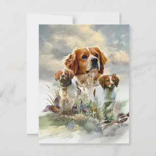 Cartão Postal Brittany Spaniels, French Brittany, Bird dog
