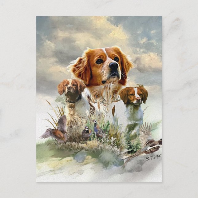 Cartão Postal Brittany Spaniels, French Brittany, Bird dog (Frente)