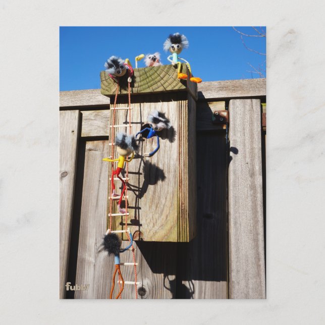 Cartão Postal Broedkast vogelhuisje dat beklommen fubby's (Frente)