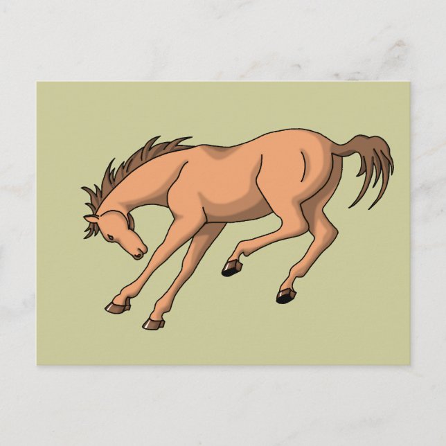 Cartão Postal Bronco (Frente)