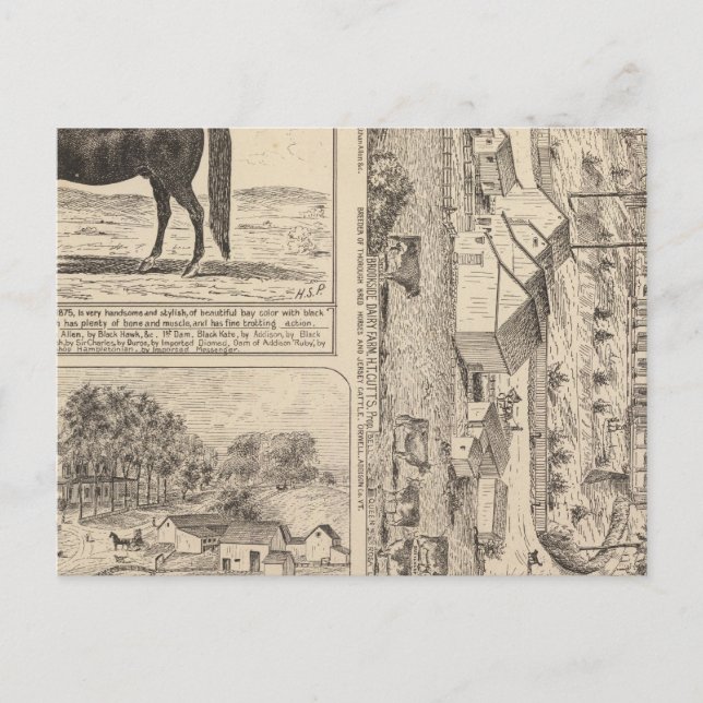 Cartão Postal Brookside Dairy Fazenda (Frente)