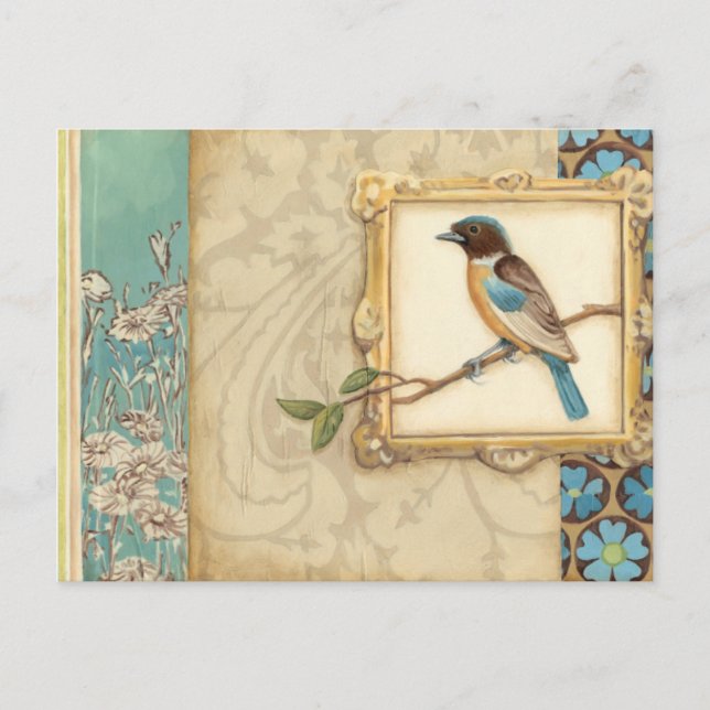 Cartão Postal Brown and Blue Bird on a Branch Looking Up (Frente)