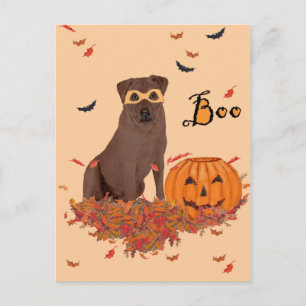 Cartão Postal Brown Labrador Retriever Halloween