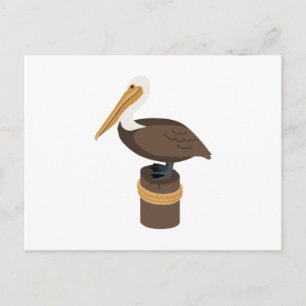 Cartão Postal Brown Pelican