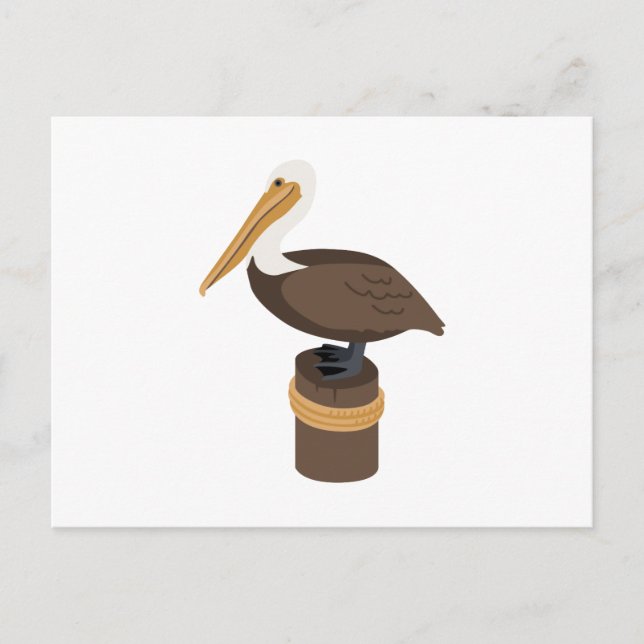 Cartão Postal Brown Pelican (Frente)