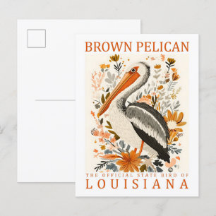 Cartão Postal Brown Pelican Bird, Viagem da Louisiana EUA