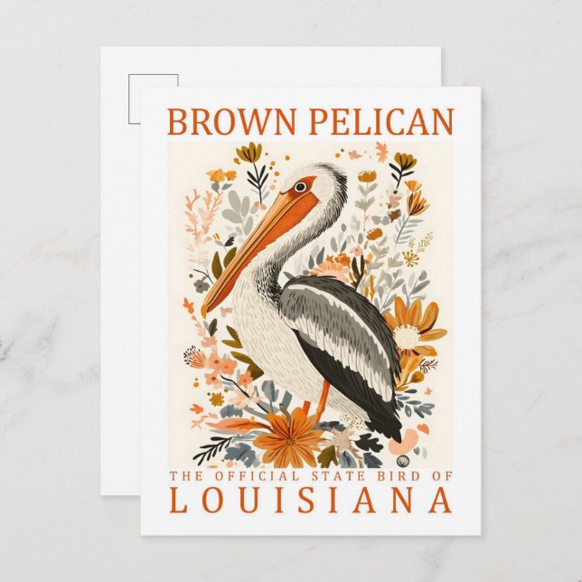 Cartão Postal Brown Pelican Bird, Viagem da Louisiana EUA (Frente/Verso)
