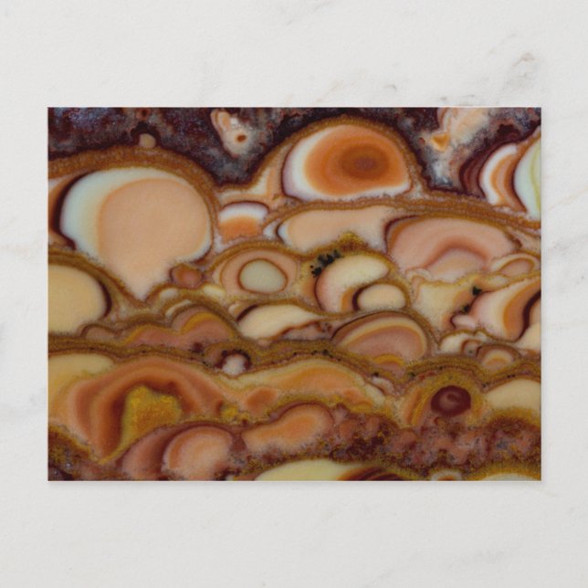 Cartão Postal Brown Spotted Onyx (Frente)