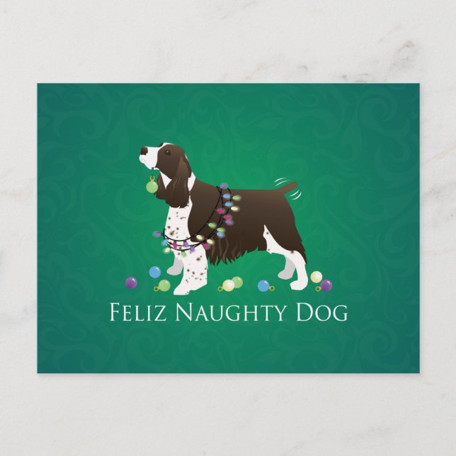 Cartão Postal Brown Springer Spaniel Dog Feliz Naughn (Frente)