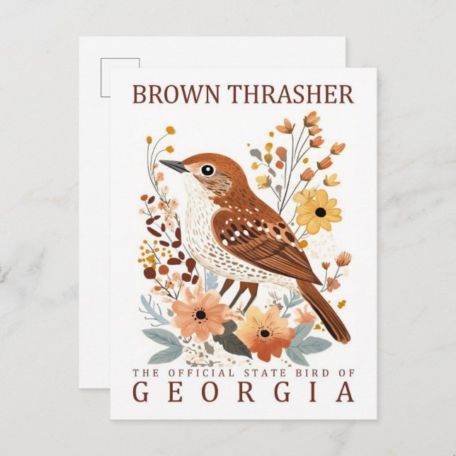 Cartão Postal Brown Thrasher Bird, Viagem da Georgia USA (Frente/Verso)