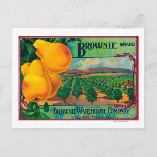 Cartão Postal Brownie Pear Crate LabelCashmere, WA