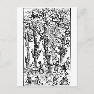 Cartão Postal Brownies colhendo maçãs no pomar